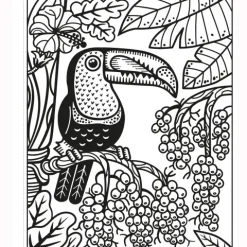 Birds Magic Painting Book