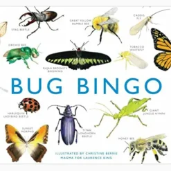 Bug Bingo