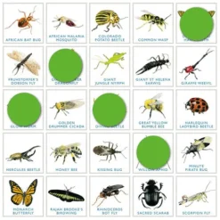 Bug Bingo