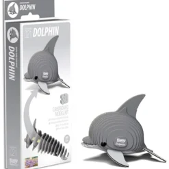 Dolphin 3D Model