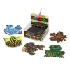 Scratch Art Nature Notes
